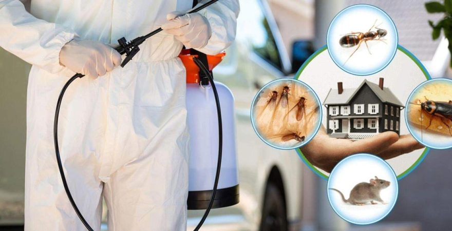 Simav Böcek İlaçlama