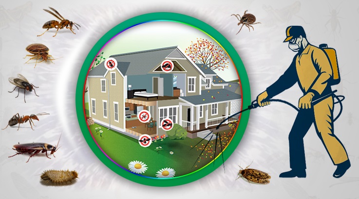 Simav Böcek İlaçlama