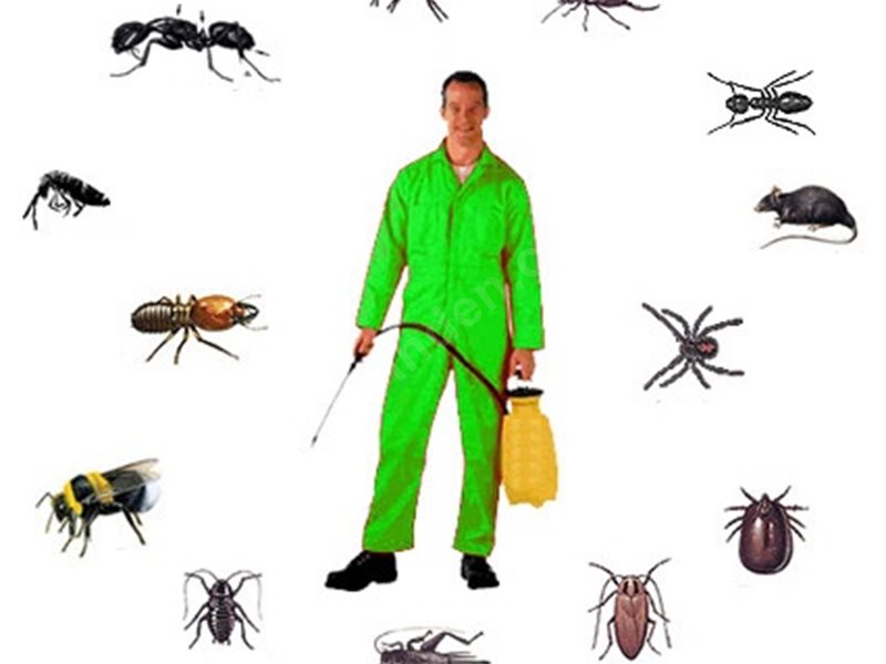 Simav Böcek İlaçlama